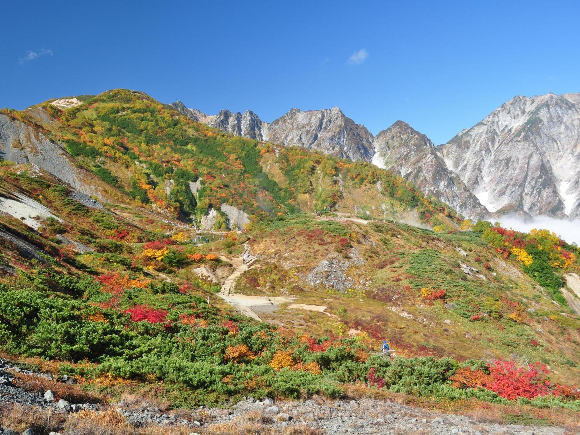 Kudo'S Lodge 白馬村 エクステリア 写真